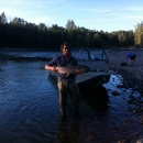 Chinook Fishing in Moricetown